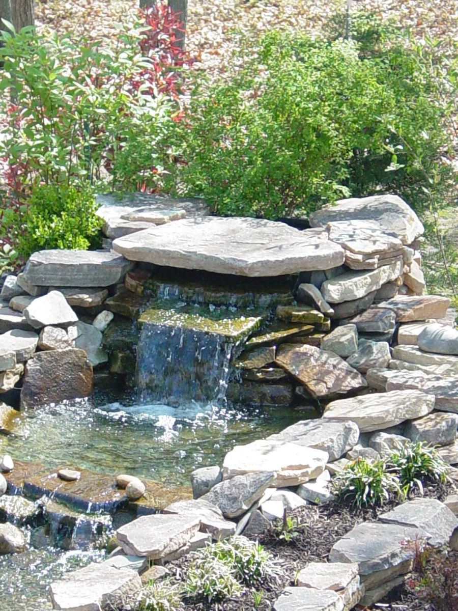 Ý tưởng hồ cá Koi thác nước ở sân vườn